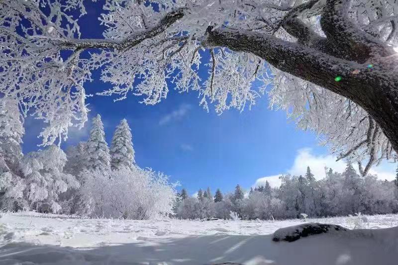 吉林安圖老嶺雪鄉起歡聲