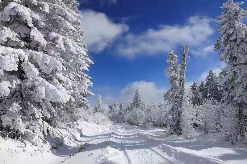 吉林安圖老嶺雪鄉起歡聲