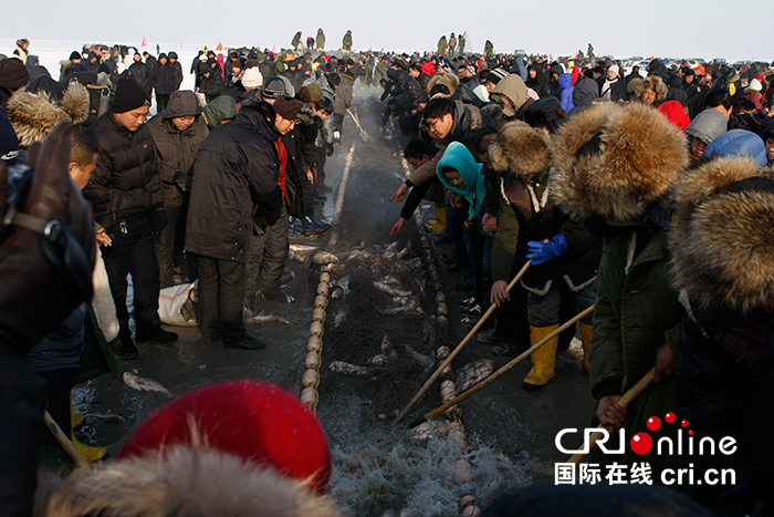 01【吉林】【原創】【CRI看吉林（標題）】【關東黑土（松原）】【移動版（圖）】慶祝改革開放40週年系列報道（吉林篇）之三十二：吉林省松原查幹湖冬捕——單網出魚量創世界紀錄