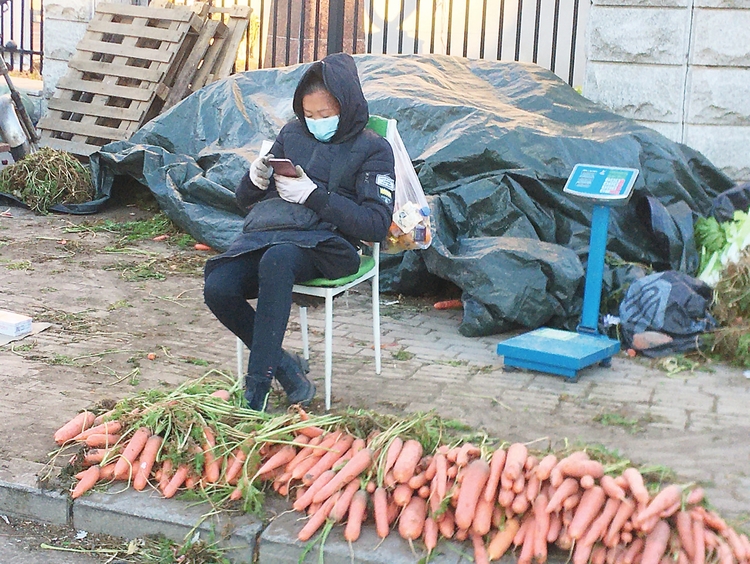 囤秋菜 一場漸行漸遠的“秋日盛宴”