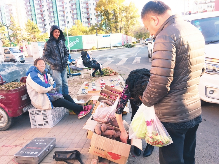 囤秋菜 一場漸行漸遠的“秋日盛宴”