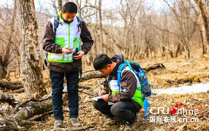 09【吉林】【供稿】【CRI看吉林（標題）】【社會民生（標題）】【生態吉林（標題）】【關東黑土（長春）】【移動版（圖）】第四屆東北虎棲息地巡護員競技賽在延邊琿春落幕