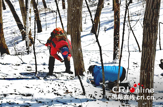 01【吉林原創】長春凈月潭冰淩花雪中綻開迎春來