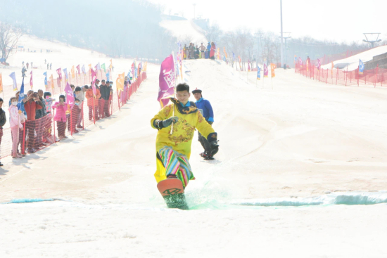 長春廟香山“牛氣沖天”雪地光豬狂歡節歡樂上演