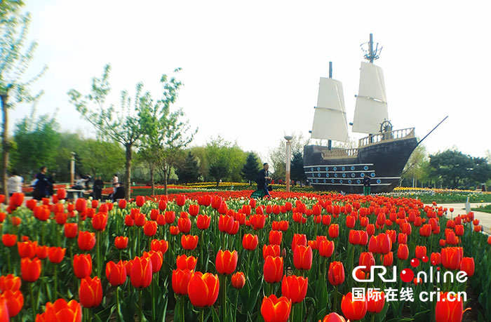 06【吉林】【原創】【CRI看吉林（標題）】長春公園：鬱金香花開靚春城