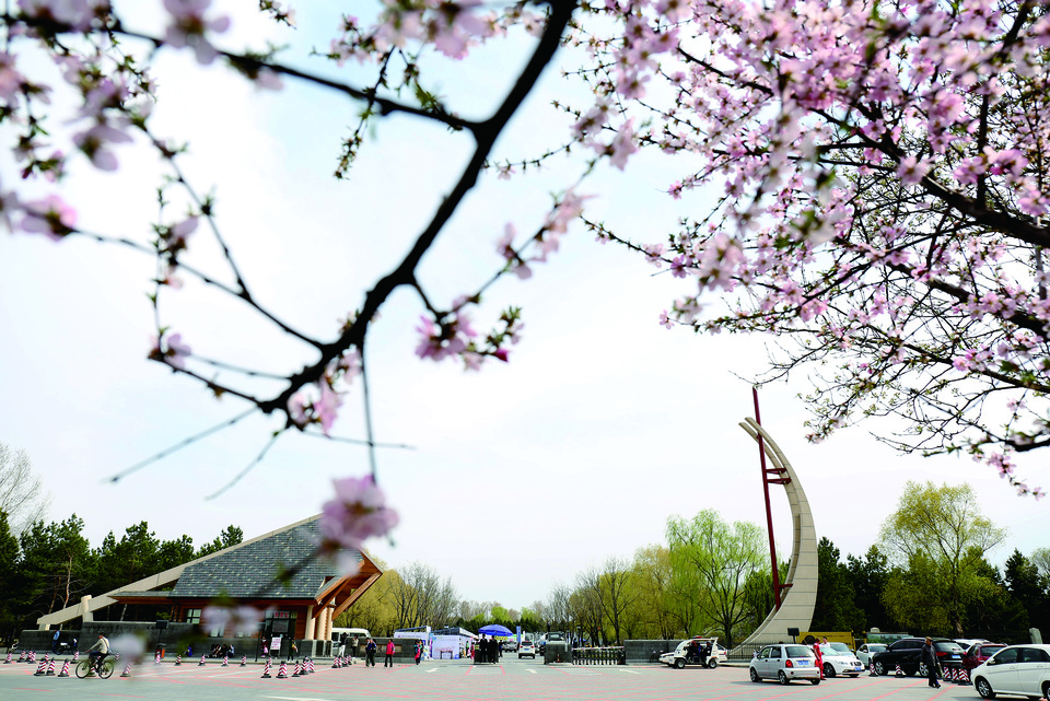 春暖花開 長春各大公園踏青賞花攻略