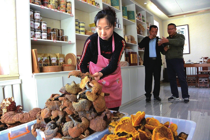 執“綠色”巨筆 繪生態畫卷——白山市建設中國綠色有機谷·長白山森林食藥城素描