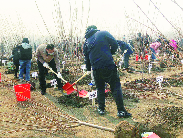 增添一片綠 長春經開區500名幹部職工義務植樹