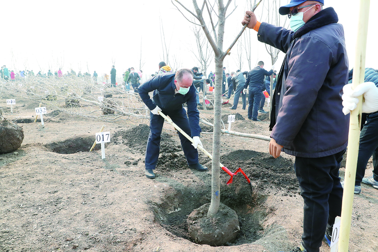 增添一片綠 長春經開區500名幹部職工義務植樹