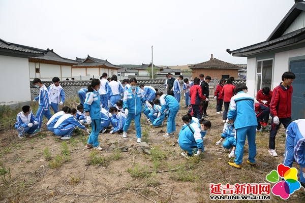 州暨延吉市主題團日活動 為大地添彩增綠