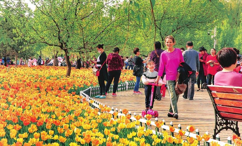 長春公園花香滿園