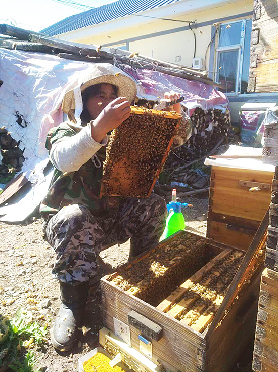 03【OK】【吉林供稿】延吉市依蘭鎮畜牧站送藥送技術幫助養蜂人