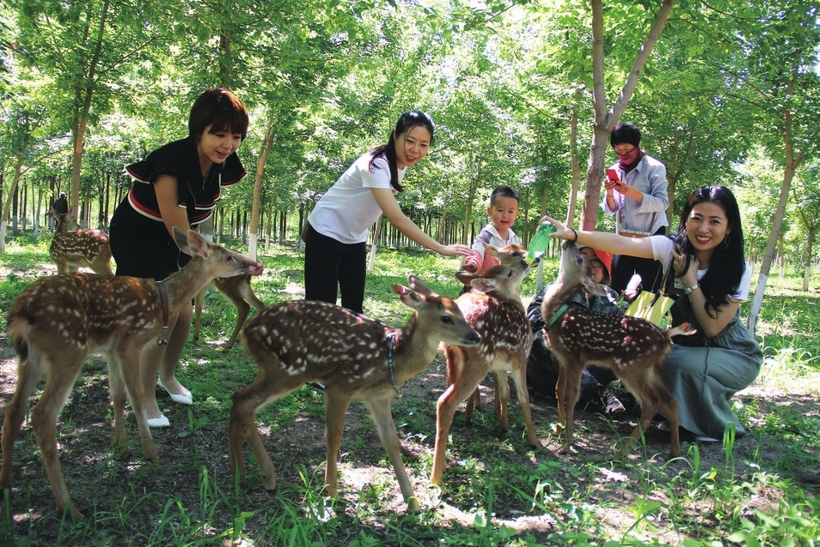 吉林遼源：夏日風景這邊獨好