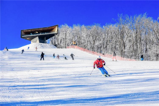 （吉林頻道）賞霧凇、滑粉雪 一份來自吉林市的冰雪大禮包_fororder_粉雪6