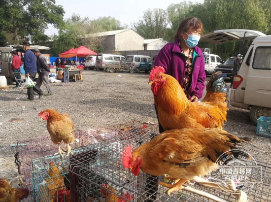 吆喝聲和討價聲 活力滿滿的一天從這兒開始！