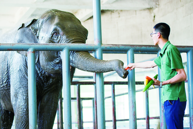 吃吧 涼快點——長春市動植物公園為動物開“涼”方