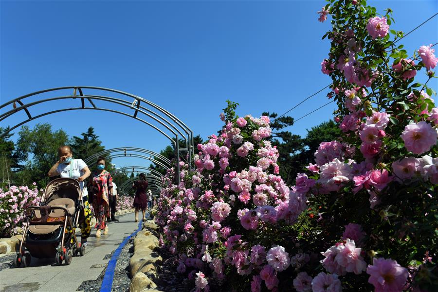 長春：花開迎客來