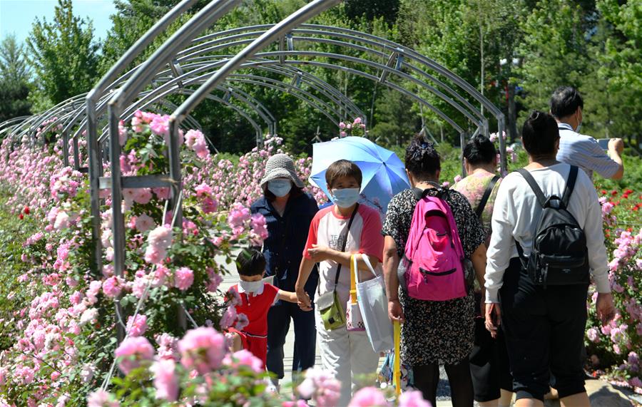 長春：花開迎客來