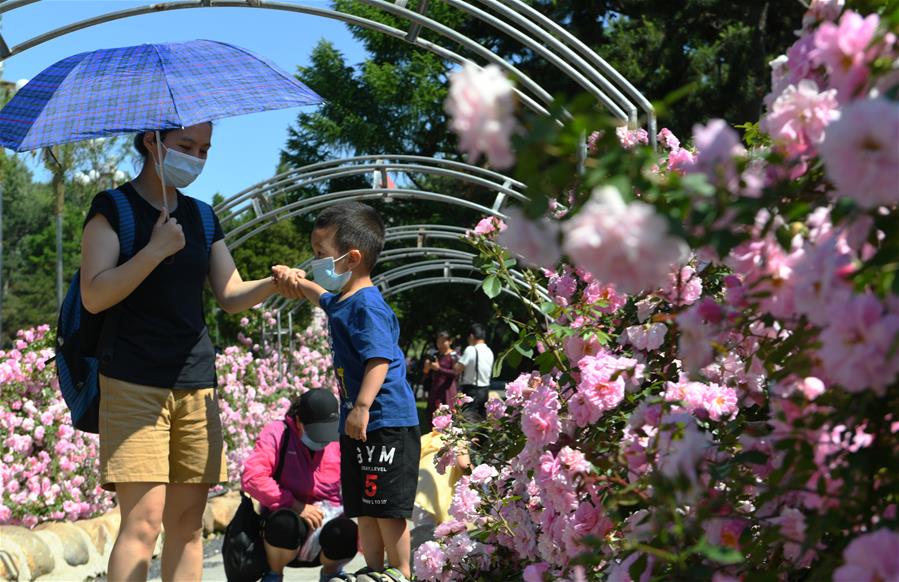 長春：花開迎客來