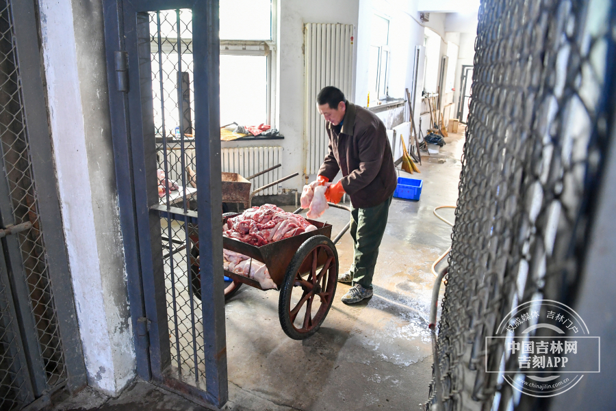 新春走基層丨吉鏡頭：長春動植物公園內的“養虎人”_fororder_老虎7