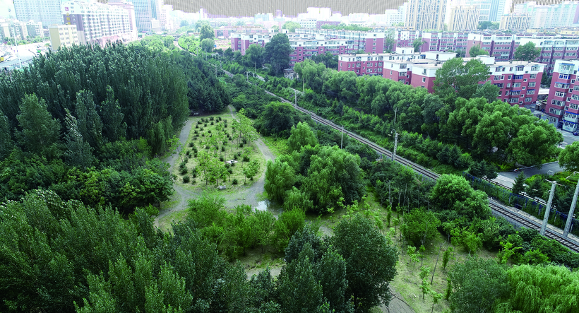 長春芙蓉植物園告別建築垃圾煩擾