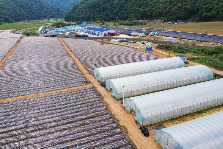 齊聲高唱幸福歌——記白山市脫貧攻堅一線的共産黨員