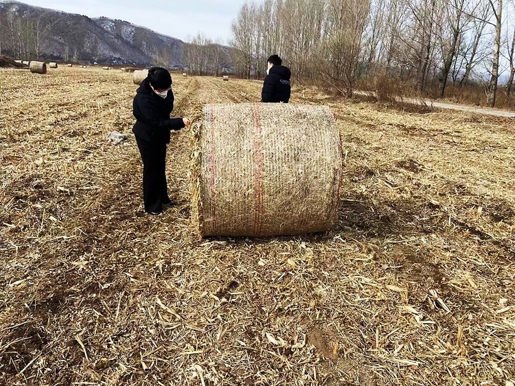 延吉市加強田間管理，護航春耕_fororder_微信圖片_20220419093927