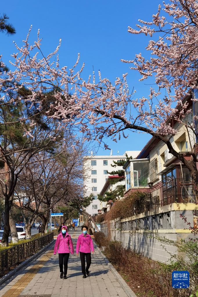 長春推動“無疫小區”居民恢復正常生活