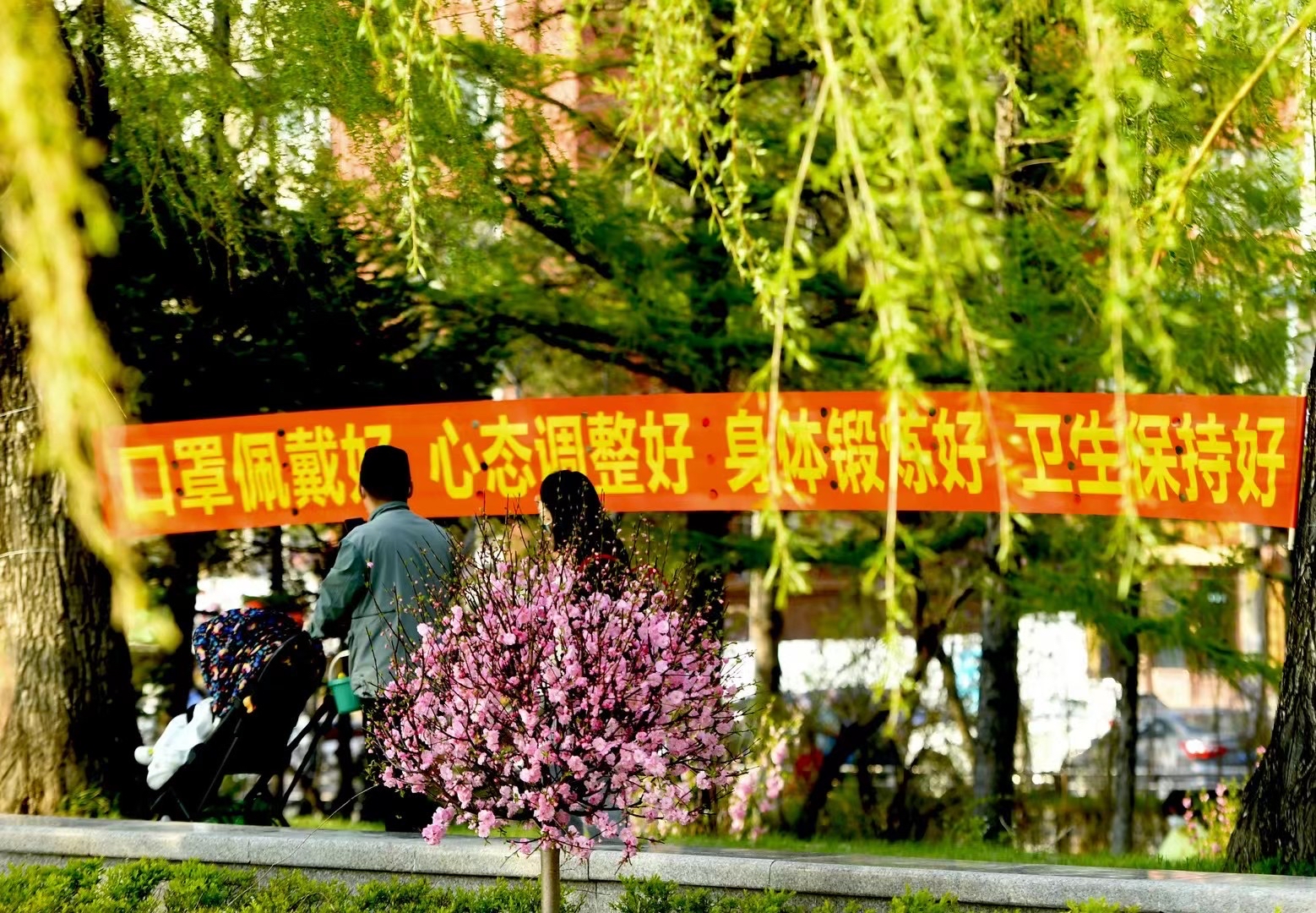 長春南湖公園迎來“疫後”首批遊客