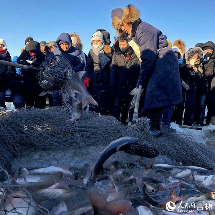 看中國·千家萬戶的事 水凈了 魚肥了 查幹湖“沸騰”了