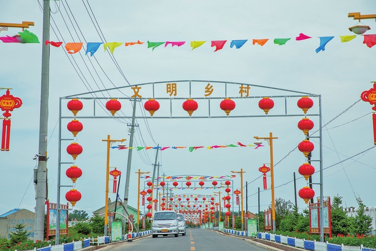 打造美麗宜居的生態家園——松原市推進農村人居環境整治紀實