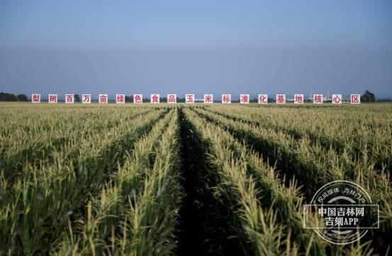 來自吉林的“梨樹模式”，為啥被稱為黑土地的希望之光？