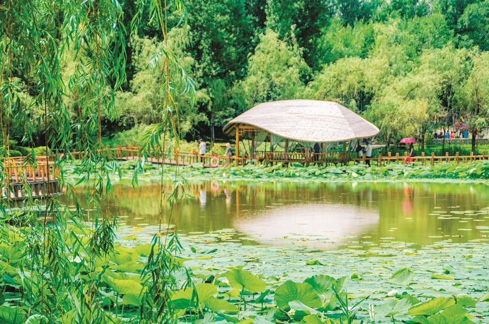 長春打造蓮花島影視休閒文化園 為現代化都市圈建設注入持久動力_fororder_4a06fa04-faeb-4874-b78e-3c1c82072fc5