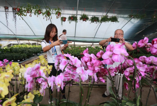 延吉：淡淡花香惹人醉 生態採摘意更濃