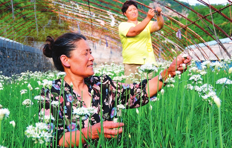 白山市建設"中國綠色有機谷·長白山森林食藥城"掠影