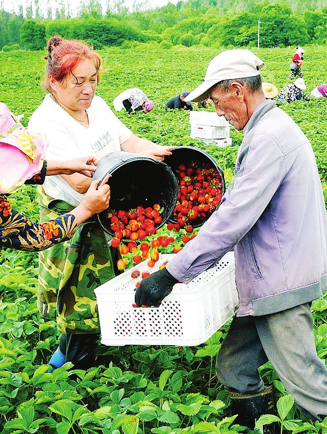 白山市建設"中國綠色有機谷·長白山森林食藥城"掠影