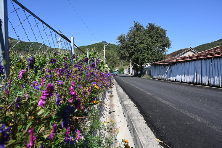 延邊州安圖縣明月鎮紅星村：在鄉村振興的道路上闊步前行