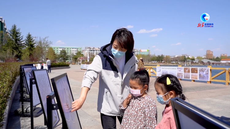 全球連線｜中國吉林為中華秋沙鴨棲息生存築起保護屏障