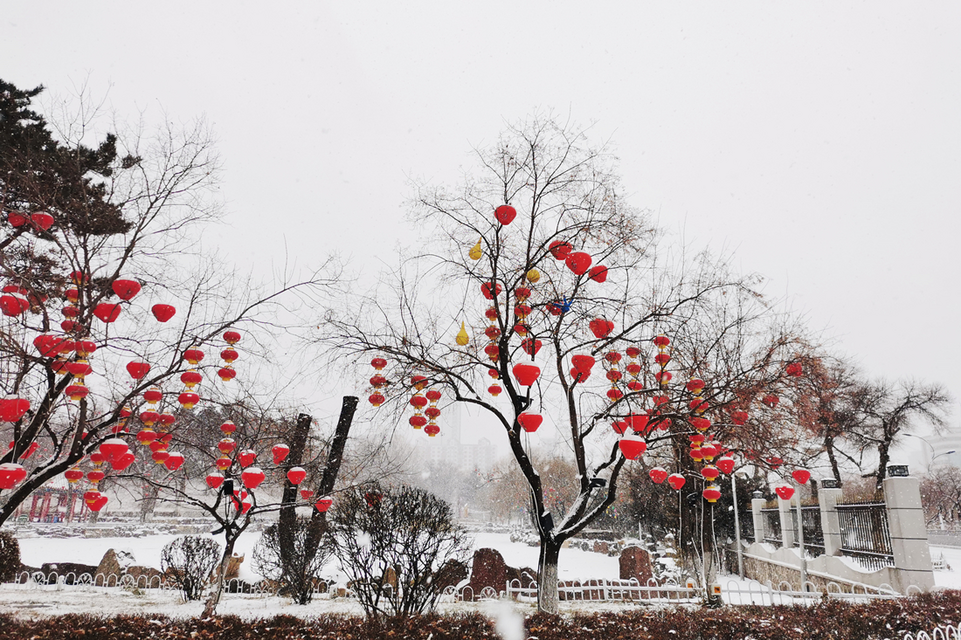 【組圖】雪中延吉公園 邂逅一園夢境_fororder_圖片6