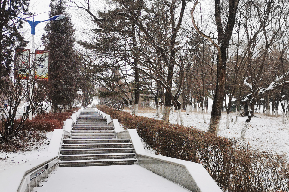 【組圖】雪中延吉公園 邂逅一園夢境_fororder_圖片10