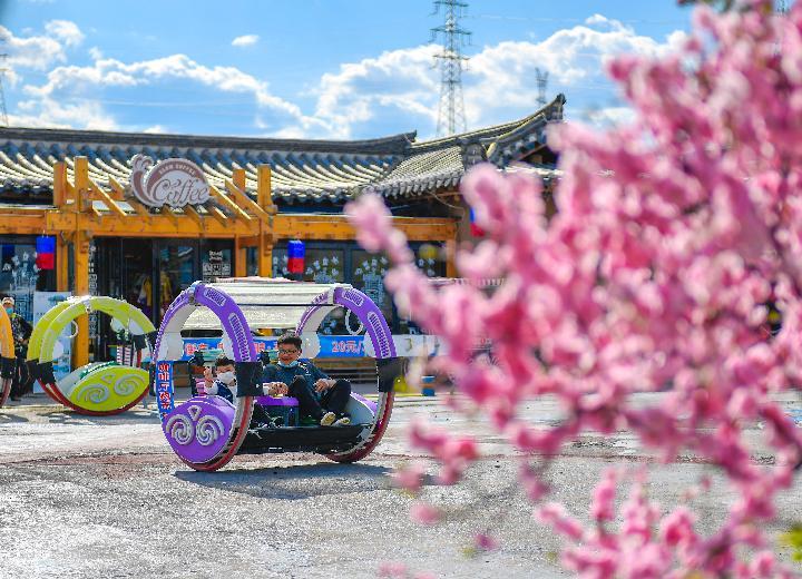 天空之眼看吉林 | 延邊：紅太陽照邊疆 金達萊開正艷