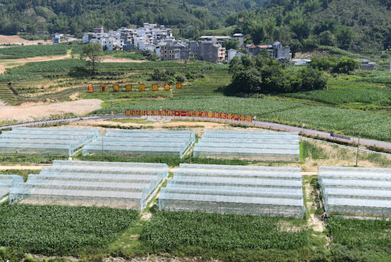 中國一汽領導深入鳳山縣開展定點幫扶工作實地調研_fororder_3