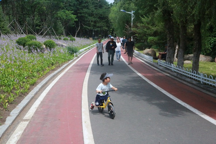 圖説延吉｜人民公園花團錦簇 每天萬名遊客進園打卡