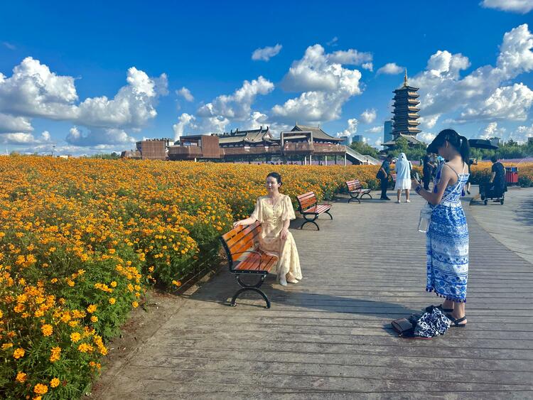 長春北湖花海開啟長春八月的浪漫