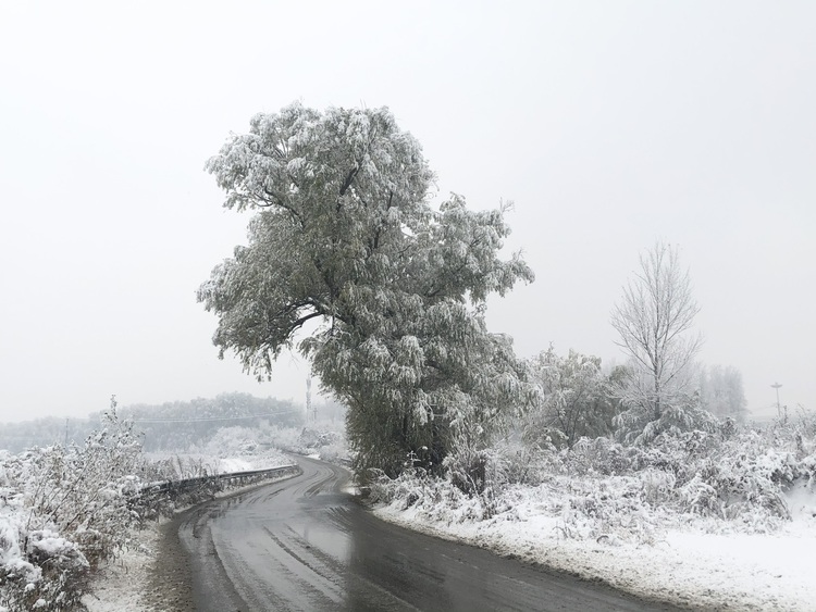 喜迎入冬第一場大雪 長春變成“白富美”！