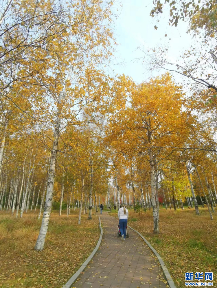 長春：多彩秋景美如畫