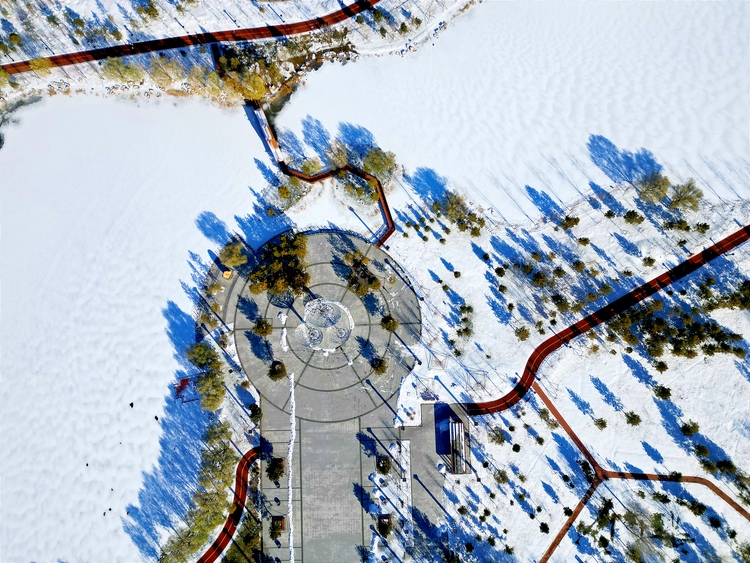 雪後初晴，白城春華園綻放出白色浪漫