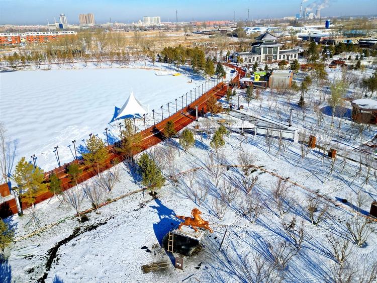 雪後初晴，白城春華園綻放出白色浪漫