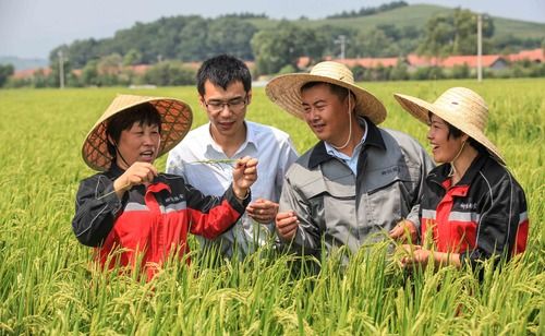 “四張名片”繪就通化高品質發展美好畫卷