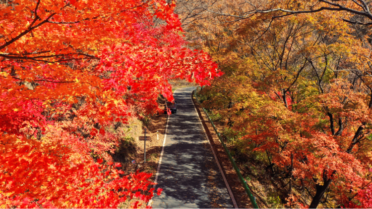 吉林這條最美鄉村公路，山水人文畫中行